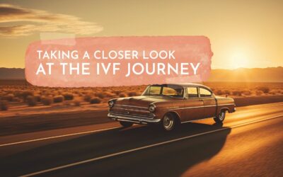 Taking a Closer Look at the IVF Journey – From Egg Retrieval to Embryo Transfer