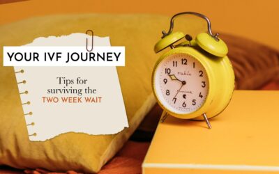 Your Fertility Journey – The IVF Process Examined